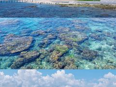 -三亚西岛海洋文化旅游区