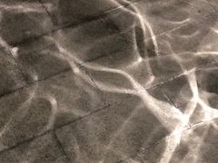 -张之洞与武汉博物馆