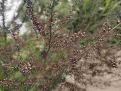 -云漫湖生态度假公园