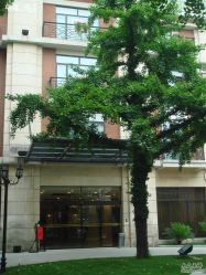 DSC05964-上海瑞金洲际酒店·宴会厅