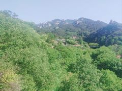 -崂山九水游览区