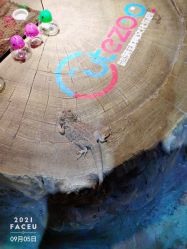 -酷嗒动物文化乐园(cutezoo西溪乐天城店)