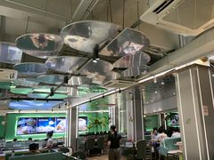 -探窝·竹笙椰子鸡(杨箕店)