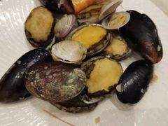 -上海新发展亚太JW万豪酒店