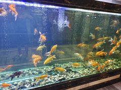 -紫阳足道·K歌沐足(新城吾悦广场店)