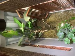 -邈墨茶馆(凤起路店)