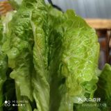 火锅：冬天的美食之最