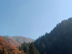 -兰山公园