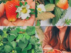 -小塘渔村(开平大道店)