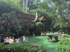 -新加坡飞禽公园