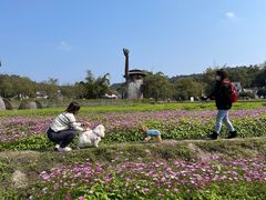 -红山村