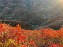 -水峪民俗村