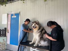 -汪说喵讲宠物乐园宠物酒店(红星美凯龙店)