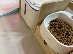 -PETKIT 小佩宠物·低压洗护·美容·寄养(安远店)