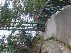 android_upload_pic-大明山自然探索公园