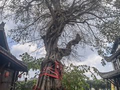 -黄龙溪古镇