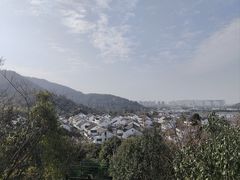 -树山生态村