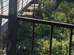 -木兰云雾山