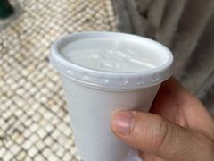 -洪馨椰子