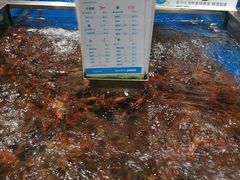 -盒马鲜生(财富中心店)