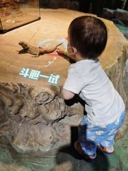 -酷嗒动物文化乐园(cutezoo西溪乐天城店)