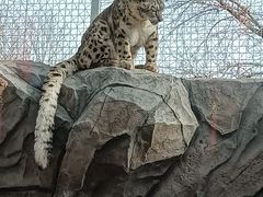 -青藏高原野生动物园
