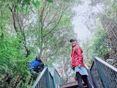 -梦幻奥陶纪景区