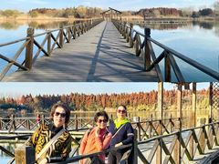 -溱湖国家湿地公园