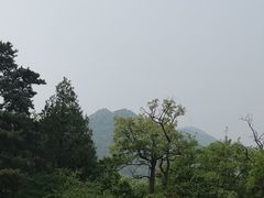 -北京鹫峰国家森林公园