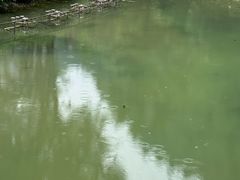 -车溪民俗旅游区
