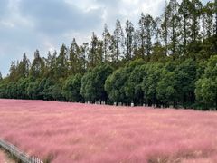 -嘉北郊野公园