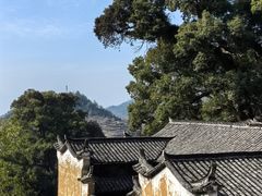 -杨家堂村