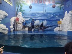 -左海海底世界