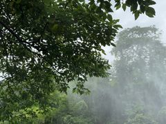 -野象谷景区
