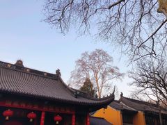 -灵谷景区