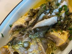 清蒸大黄鱼-三六三杭州菜(水上总店)