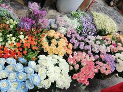 -循礼门鲜花花市(武汉循礼门店)