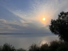 -哈素海