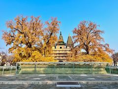 -北京石刻艺术博物馆(五塔寺)