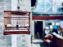 -北京古城老院厉晓麟精致菜