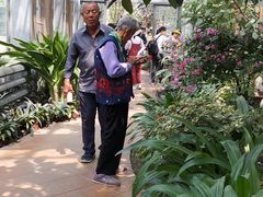-北京植物园-展览温室