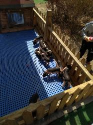 -萌宠亲子动物乐园(槐房万达店)