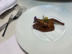 -诺莱仕游艇会