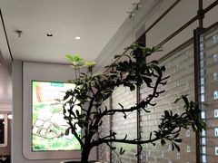-海底捞火锅(高科广场店)