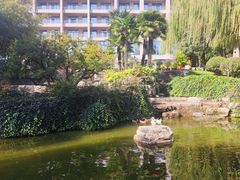 -西安国际创新人才交流中心•药浴温泉