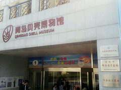 -青岛贝壳博物馆