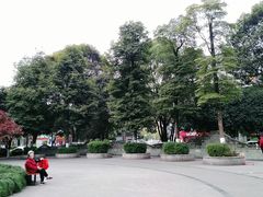-重庆彩云湖湿地公园