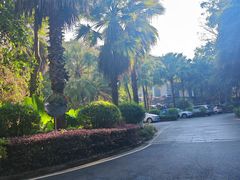 -孔雀湖生态旅游区