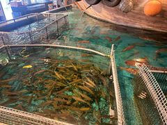 -ジャンボ釣船 つり吉(新世界店)