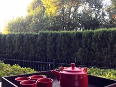 阳台-上海崇明金茂凯悦酒店